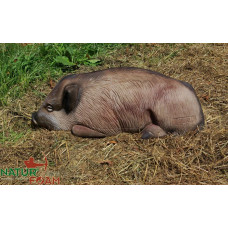 Natur Foam WILD BOAR - LYING